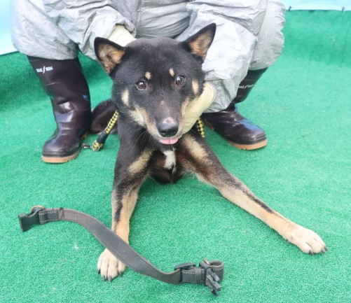 제주 동물보호센터_450650202403581